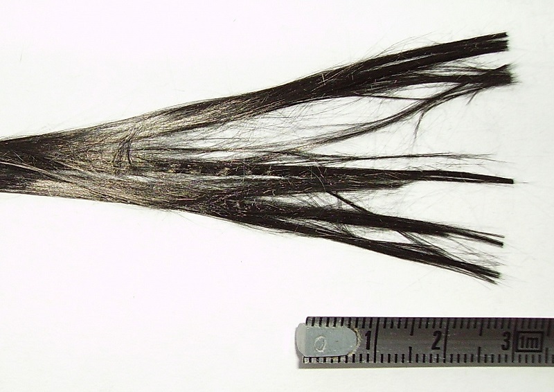 fibres de carbone