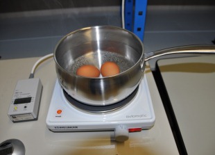 Selon la méthode classique, les œufs sont cuits durs dans une casserole remplie d’eau. Une cuisson dans une quantité d’eau réduite et avec un couvercle requiert trois fois moins d’énergie. &#40;Image: SATW/Anette Michel&#41;