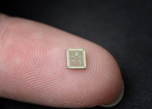 Mikrochip &#40;Bild: © SATW / Franz Meier&#41;