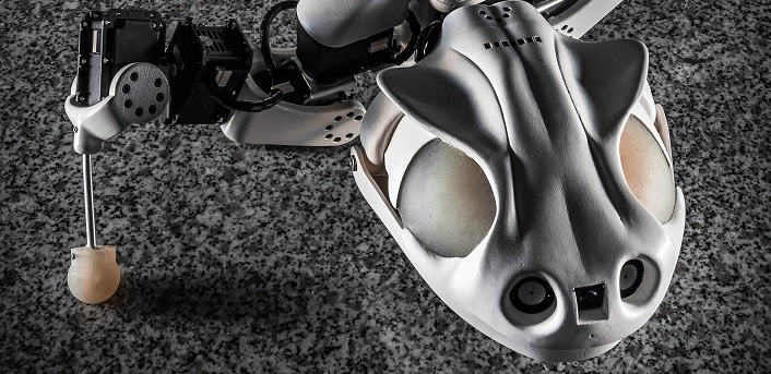 Le robot salamandre