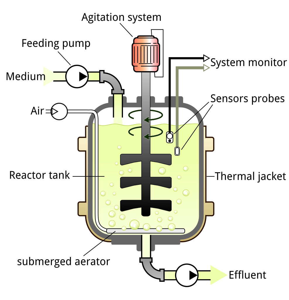 Schéma d’un bioréacteur