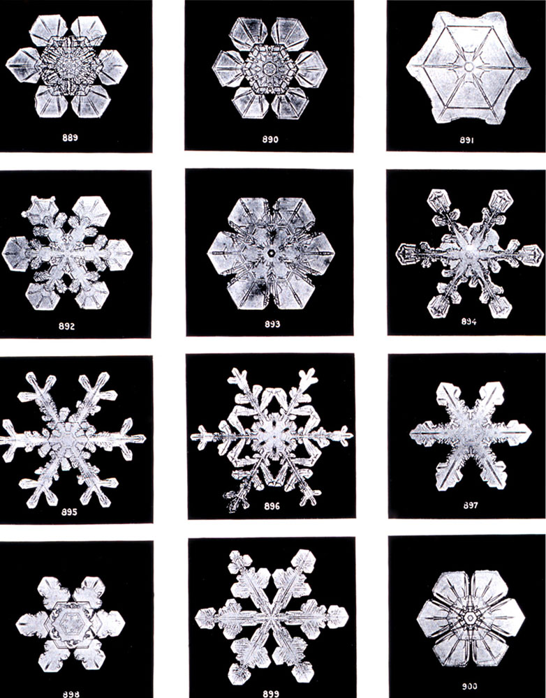 Différentes formes de flocons de neige