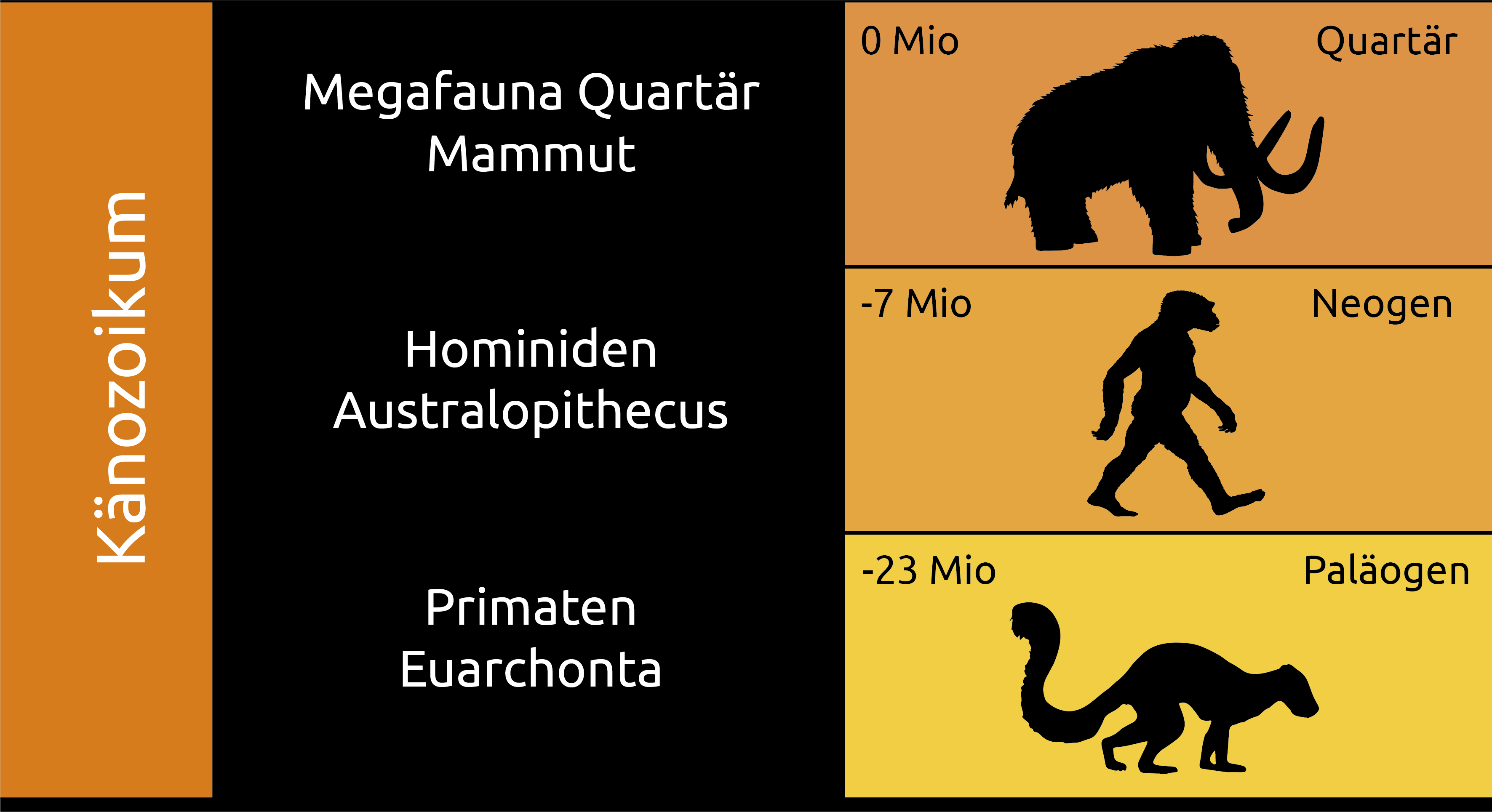 Das Schema zeigt die drei Perioden, die das Känozoikum bilden, und die Hauptgruppen von Arten, die in jeder Periode auftraten.
