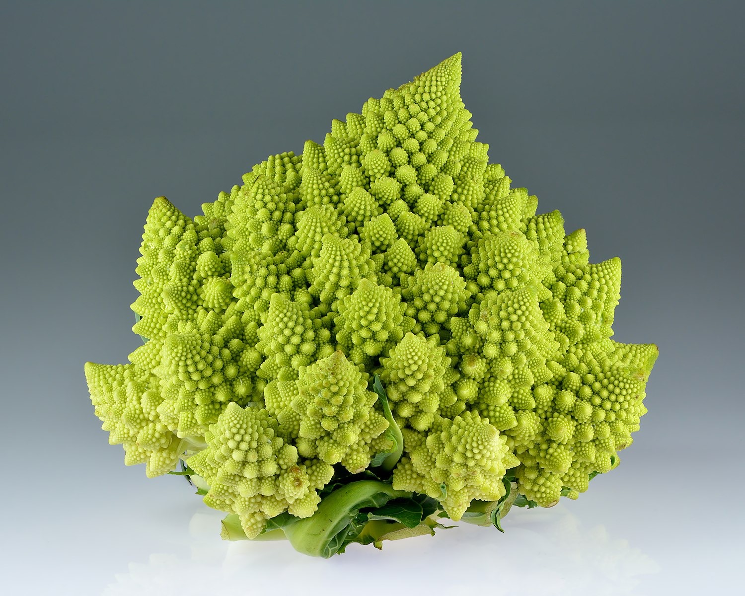 Un chou romanesco