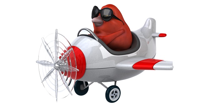 Dessin oiseau en avion