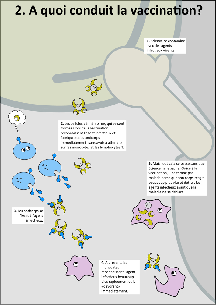 BD qui montre l'effet de la vaccination lors d'une nouvelle infection