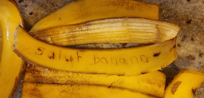 Bananenschalen