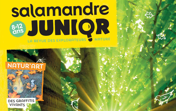 Salamandre Junior