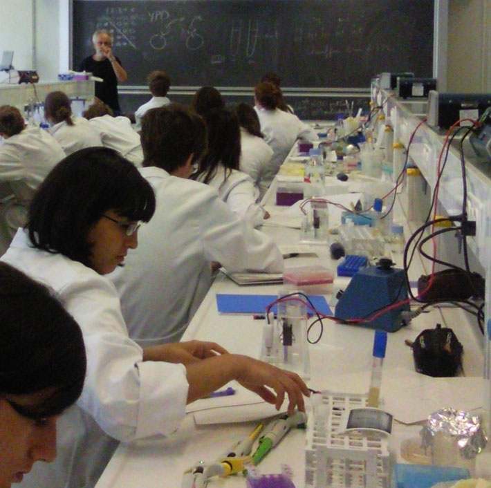 Des gymnasiens réalisent des expériences de génétique pendant un atelier pratique en classe.