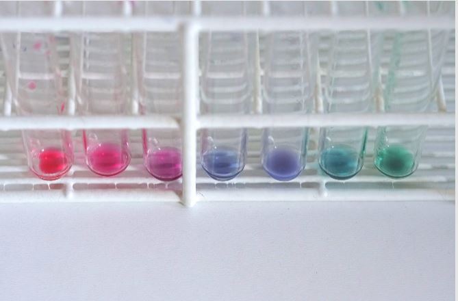 Les tubes à essai sont parfaits pour observer le changement de couleur