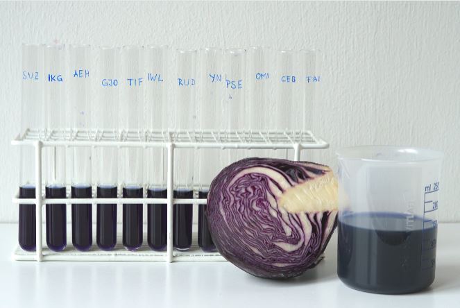 Jus de chou rouge dans des tubes étiquetés