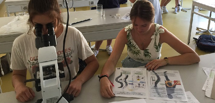 Loupes, microscopes et fiches pédagogiques sont utilisées pendant cet atelier