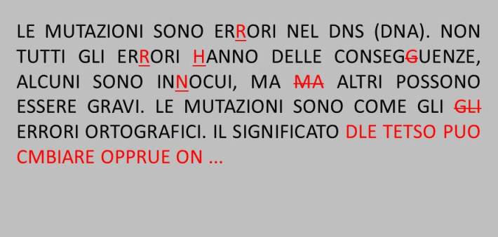 Testo con errori ortografici corretti in rosso